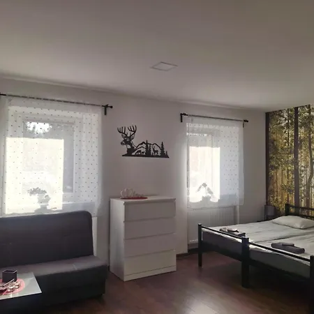 Agroturystyka Pod Niebieskim Dachem Siedlecin Exterior foto