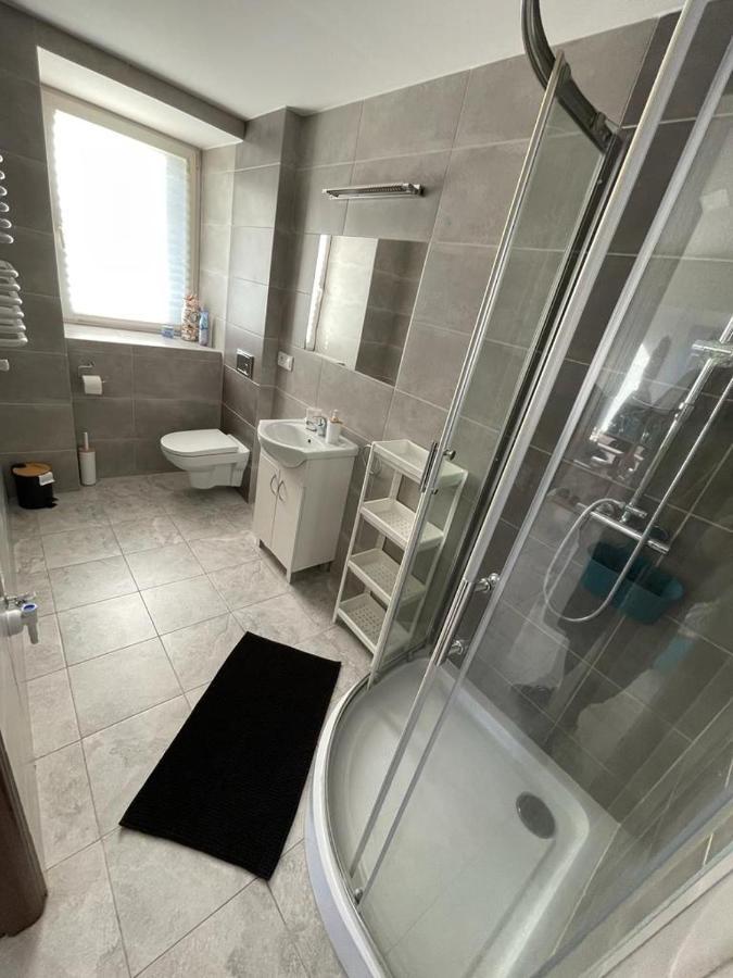 Pod Niebieskim Dachem Apartment Siedlecin